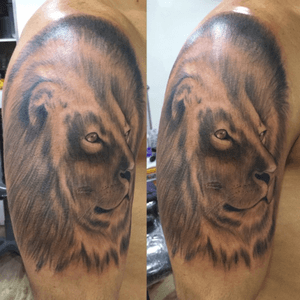 #lion_tattoo 