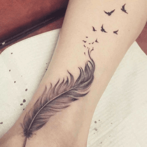 #feather #birds #blackbird #quill #blackandgray #girly #pretty 