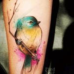 Beautiful! #bird #watercolor 