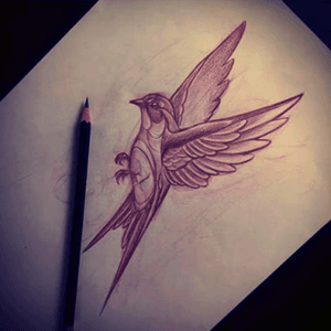 Cant wait to get a couple of these guys to add to my arm #swallow #swallowtattoo #sketch 