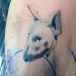 #tattoo #bull #terrier #sisters#zaira #work#in#progress