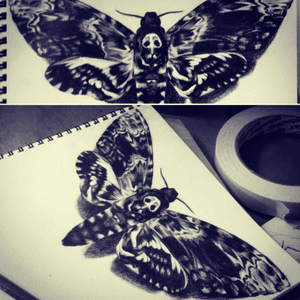 Deaths head hawkmoth woop woop #moth #tattoodesign #blackandgrey #realistic #pencildrawing 