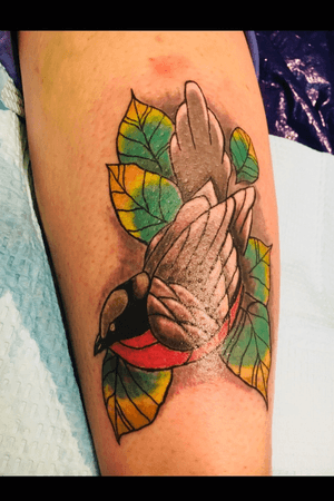 this was a Fun birdie Tattoo i got to do on my Sister’s Leg just a few months into Tattooing 🤘😎🤘👽