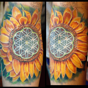 Custom #sacredgeometry #sunflower tattoo by Sean Ambrose at Arrows and Embers Tattoo. Thanks for looking!