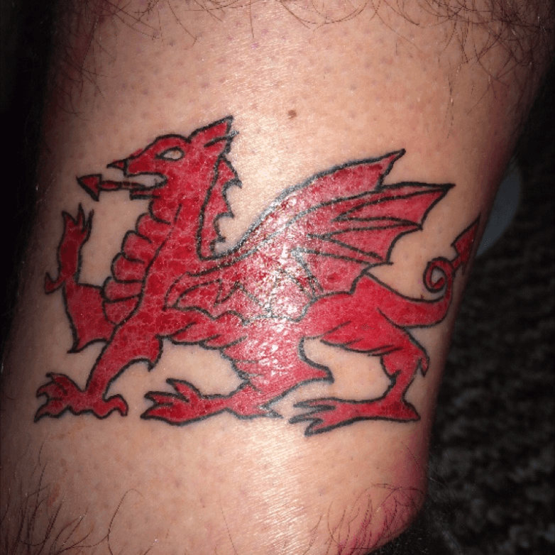 Pin by Huw Hendricks on Welsh tattoo  Dragon sleeve tattoos Welsh tattoo  Elephant tattoos