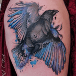 #KelTait #keltaittattoo @kel.tait.tattoo #raven #blueraven #black #watercolor #bird #wings 