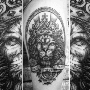 #volgatattoo #inkzombies #lion #king #crown #grathics #whipshading #lionking 