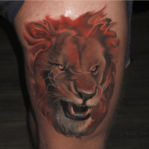 Piotrdedel #lion #lionhead 