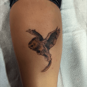 First calf tattoo, ive never twitched more during a tattoo. #calf #calftattoo #creature #Griffin #owlgriffin #Tattoodo #inked4life #inkaddict 
