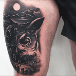Owl tattoo #owl #animal #blackandgrey #tattoodo #inkjecta #wearesorrymom #killerinktattoo 