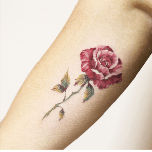 Luiza.blackbird #luiza #delicate #simplistic #rose #flower 