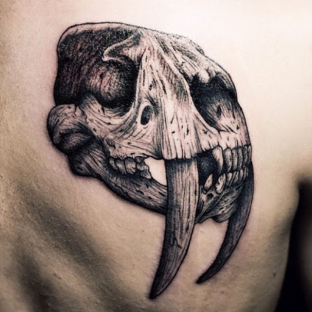 Tattoo uploaded by Katie • Saber tooth skull tattoo #sabertooth #cat # ...