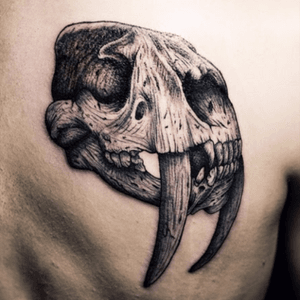 Saber tooth skull tattoo #sabertooth #cat #big 