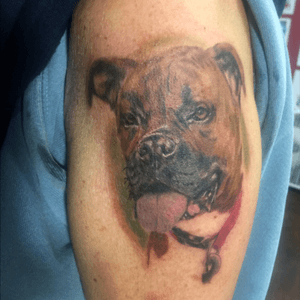 Color Memorial portrait tattoo of our clients beloved dog who passed. Its never too late in life to get a tattoo