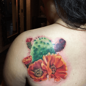 Cactus rose 