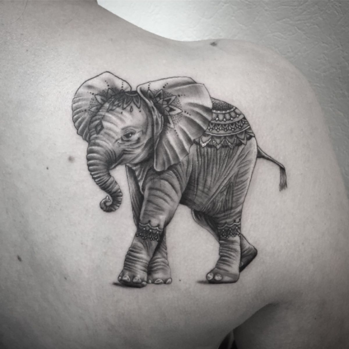 war elephant tattoo