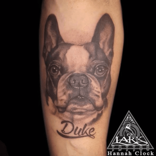 Tattoo by Lark Tattoo artist Hannah Clock. #dog #dogtattoo #bng #bngtattoo #animaltattoo #frenchbulldog #frenchbulldogtattoo #tattoo #tattoos #tat #tats #tatts #tatted #tattedup #tattoist #tattooed #tattoooftheday #inked #inkedup #ink #tattoooftheday #amazingink #bodyart #tattooig #tattoosofinstagram #instatats  #larktattoo #larktattoos   