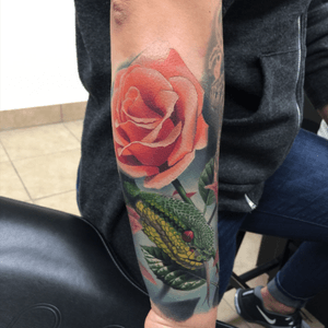 Day one of 4 days, back to back, to finish my sleeve. May 216. #PhilGarcia #snake #viper #rose #realism #color #fullcolor 