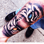 Artist #ricardolugo #tiger #tigerseye #eyes #animals #halfsleeve 