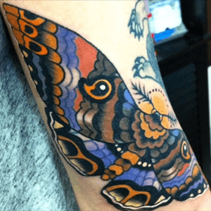 Moth! #moth #tattoo #neotraditional #traditional #neotrad #inked #canada #novascotia 