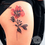 Watercolor flower tattoo, tatuaje de flor en acuarela #mexico #tattoo #cdmx #tattooartist #madeinmexico #art #karmatattoomx #marianagroning #tatuajes #mexico #mexicocity #tatuajesenmexico #tatuajesendf #tattoo #tattoos #ink #inked #watercolor #watercolortattoo #watercolorartist #watercolorart #acuarela #tatuajesacuarela #acuarelatattoo #colorink #lovetattoos #flower #flor 