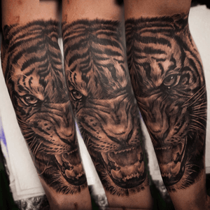 Tiger on my forearm done by andy jung on long island ny 