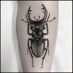 #totemica #tunguska #black #lucanuscervus #stagbeetle #insect #entomology #tattoo #blackworkers #originalsintattooshop 