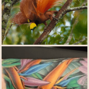 Mix of birds of paradise plant and animal #megandremtattoo 