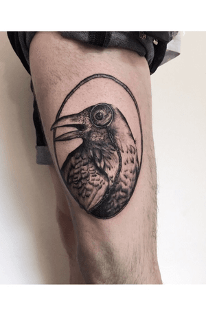 Whipshading realistic crow by Maybch @mayblue_. #blackandgrey #whipshading #realistic #dark #maybch 