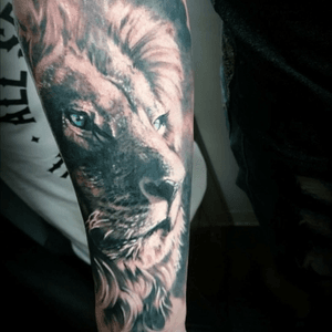 Black and grey lion portrait on my forearm