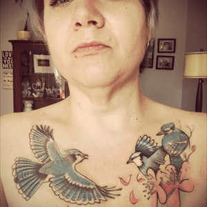 #bluejays #bird #chestpiece 