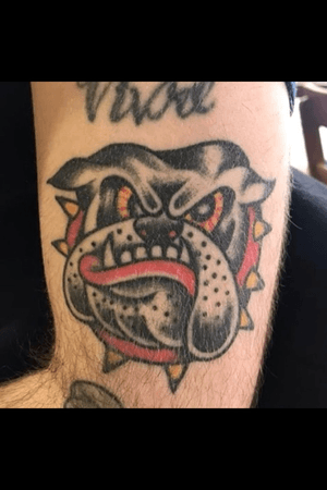 Healed and hairy bulldog for a great tattooer 
