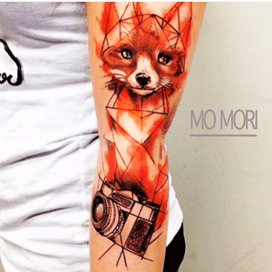 Fox #fox #camera 