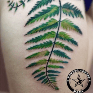 #fern #frond #fernfrond #leaves #Foliage #colour - #tattooartist #MayMunny @maya_munny 