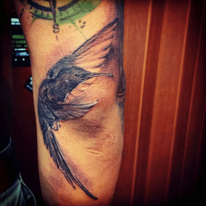 #colibri #andysink #tattoer 