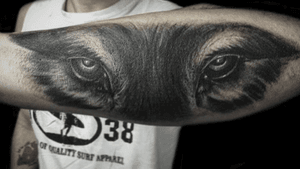 Tattoo by Lance Levine. See more of Lance’s work here: https://www.larktattoo.com/long-island-team-homepage/lance-levine/ #realistictattoo #bng #blackandgraytattoo #blackandgreytattoo #realism #tattoo #tattoos #tat #tats #tatts #tatted #tattedup #tattoist #tattooed #tattoooftheday #inked #inkedup #ink #amazingink #bodyart #tattooig #tattoosofinstagram #instatats #larktattoo #larktattoos #larktattoowestbury #westbury #longisland #NY #NewYork #usa #art #wolf #wolftattoo #wolftattoos #animal #animals #animaltattoos #animaltattoo