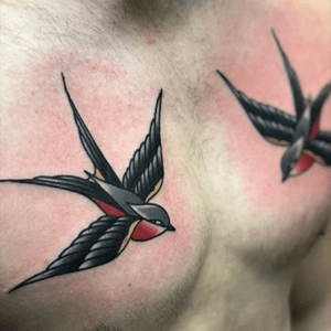 #traditional #swallows #sailor #tattoo 