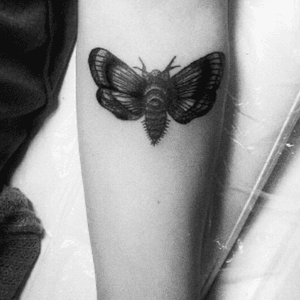 #moth #blackwork 