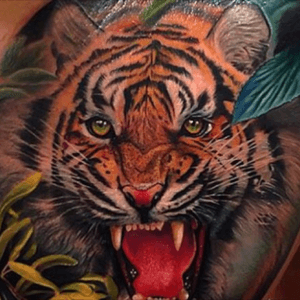 #megandreamtattoo a great angry tiger! 