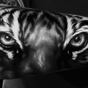 My favorite animal is the Bengal Tiger, Tigers represent mystery and wisdom behind deep eyes as I do...