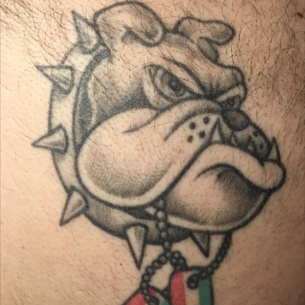 Tattoo uploaded by Benjamin Messore • My first tattoo when I was 18. Bulldog with Italian flag