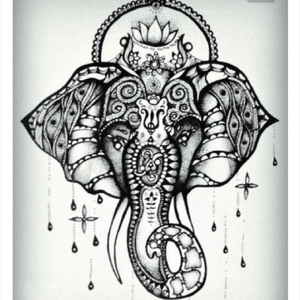 @amijames #dreamtattoo #elephant #beautiful #love #amazing #oneday 
