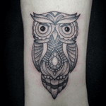 Dotwork owl by me, Rebekka Rekkless. #owl #owltattoo #dotwork #dotworktattoo #rebekkarekkless 