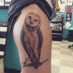 First realistic tattoo Ive done. Sweet Barn Owl. #megandreamtattoo 
