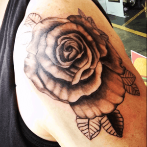 Brand spaning new rose tattoo in the works.