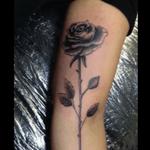 Rose Tattoo #RoseTattoos 