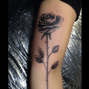 Rose Tattoo #RoseTattoos 