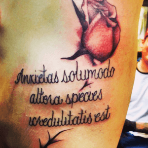 "Anxiety is but another form of atheism"My left side #megandreamtatto #rose #latin #thorns #tattoo #ribs 