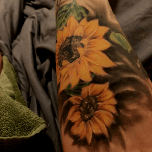 #sunflower 
