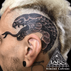 Tattoo by Lark Tattoo artist Simone Lubrani. See more of Simone’s work here: https://www.larktattoo.com/long-island-team-homepage/simone-lubrani/#snake #snaketattoo #bng #bngtattoo #blackandgraytattoo #blackandgreytattoo #reptile #reptiletattoo #headtattoo #tattoo #tattoos #tat #tats #tatts #tatted #tattedup #tattoist #tattooed #tattoooftheday #inked #inkedup #ink #tattoooftheday #amazingink #bodyart #tattooig #tattoosofinstagram #instatats  #larktattoo #larktattoos #larktattoowestbury #westbury #longisland #NY #NewYork #usa #art  